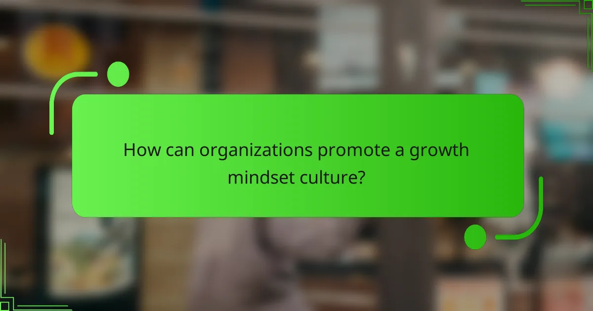 How can organizations promote a growth mindset culture?