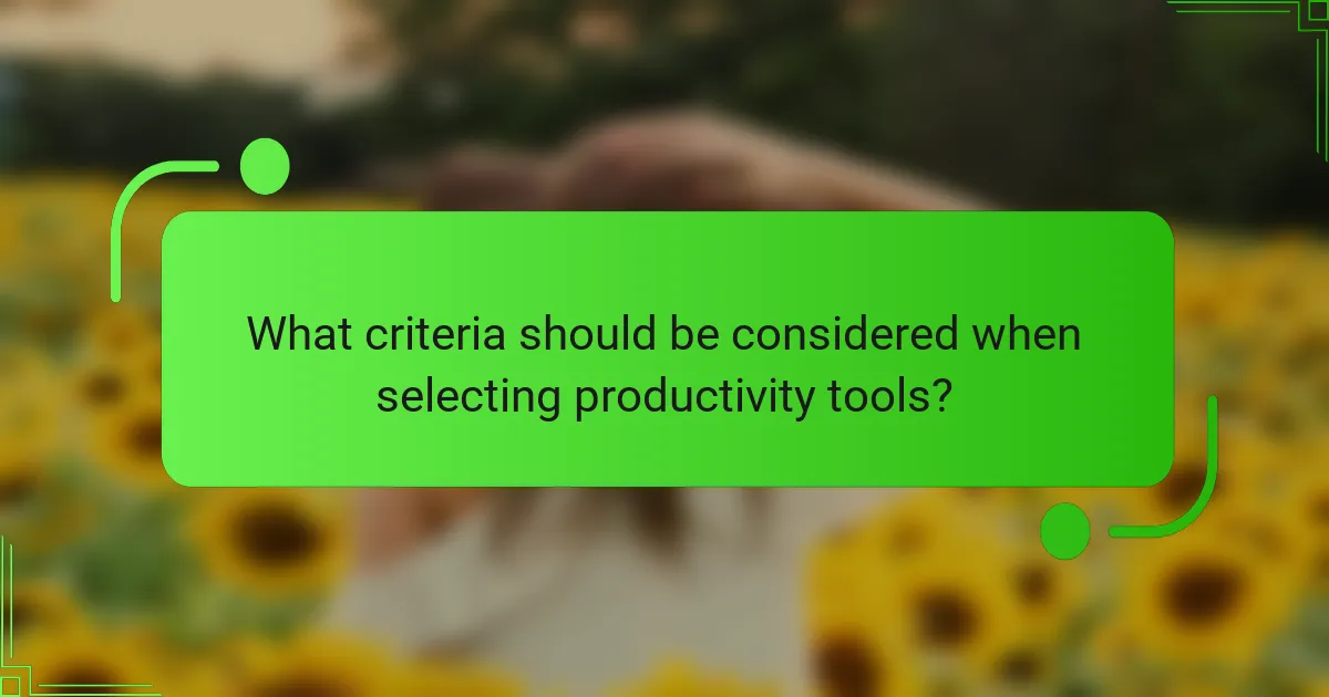 What criteria should be considered when selecting productivity tools?